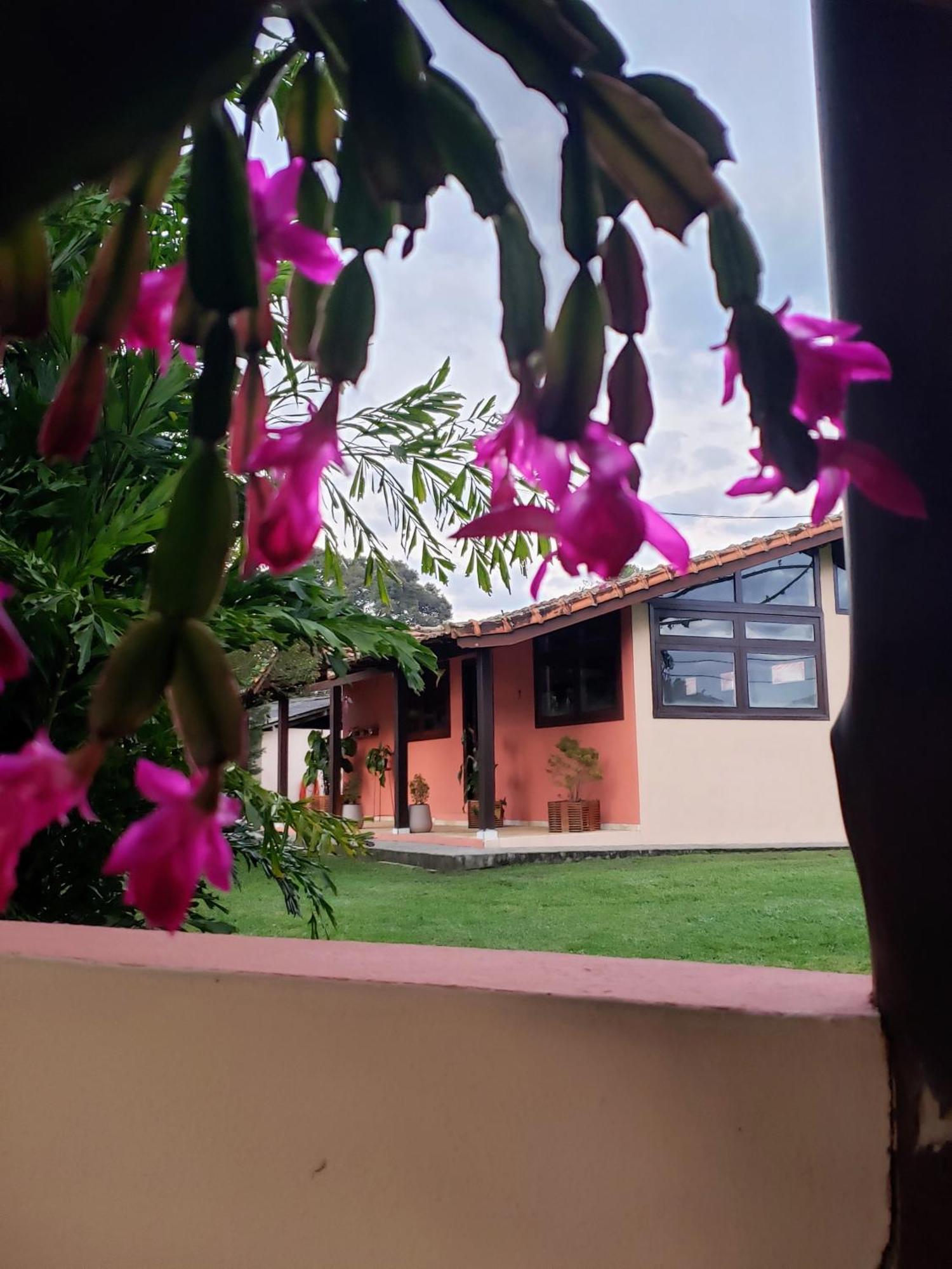 Inn Minas 3*